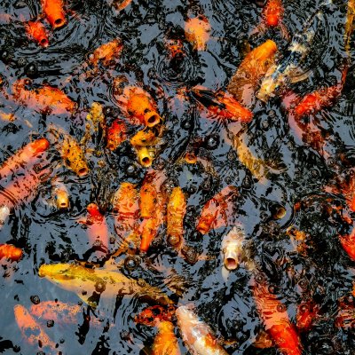 william-warby-U8-tW5uVVcE-unsplash