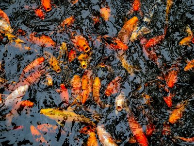 william-warby-U8-tW5uVVcE-unsplash